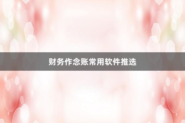 财务作念账常用软件推选